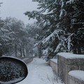 Neve e turisti: lo spettacolo magico di Castel del Monte