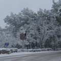 Neve e turisti: lo spettacolo magico di Castel del Monte