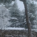 Neve e turisti: lo spettacolo magico di Castel del Monte