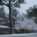Neve e turisti: lo spettacolo magico di Castel del Monte