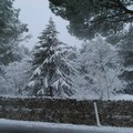 Neve e turisti: lo spettacolo magico di Castel del Monte