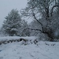 Neve e turisti: lo spettacolo magico di Castel del Monte