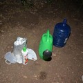 Coltivazione di "Cannabis" in un terreno rurale: arrestato un 32enne