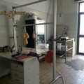 Un opificio trasformato in caseificio abusivo e garage