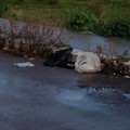 Rifiuti ingresso città Andria - Trani