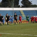 Fidelis Andria - Castellaneta: la fotostory del match