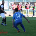 La fotostory del match Fidelis Andria - Galatina
