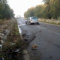 Incidente stamane sulla SP 43: un 87enne si ribalta con la sua Fiesta
