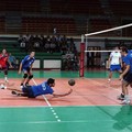 Doppio successo per la Pallavolo Andria: 3 a 0 sia in C che in D