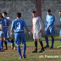 Castellaneta - Fidelis Andria: successo andriese per 3 a 0