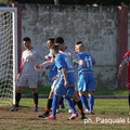 Castellaneta - Fidelis Andria: successo andriese per 3 a 0