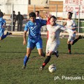 Castellaneta - Fidelis Andria: successo andriese per 3 a 0