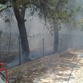 Incendio in Viale delle Pinete sull'Andria-Castel del Monte: paura per un'abitazione