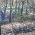 Incendio in Viale delle Pinete sull'Andria-Castel del Monte: paura per un'abitazione