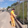 Partiti i lavori su via Bisceglie: un milione di euro per la nuova area mercatale