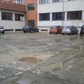 Due progetti di riqualificazione per il "Classico" ed interventi per l'istituto in Via Barletta