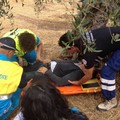 “Melficta 2013”: tre giorni di formazione e pratica di protezione civile