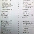 Atletico Mola - Fidelis Andria