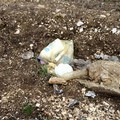 Rifiuti abbandonati Strada Andria - Bisceglie