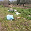 Rifiuti abbandonati Strada Andria - Bisceglie
