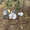 Rifiuti abbandonati Strada Andria - Bisceglie