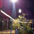 Albero caduto in villa comunale