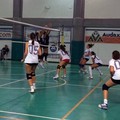 Audax Volley, vittoria in amichevole contro il Bitetto