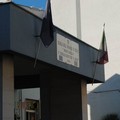 Festa dell'albero: un limone ed un girotondo per l'infanzia