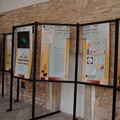 Uomo unico ed insostituibile: l'idea cara a Lejeune in mostra