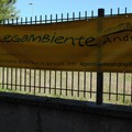 Festa dell'Albero: le scuole "abbracciano" la natura