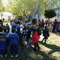 Festa dell'Albero: le scuole "abbracciano" la natura