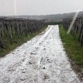 Strada Provinciale 2 "Andria - Canosa"