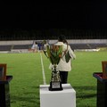 Fidelis Andria - Bari, memorial Fuzio