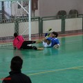 Futsal Andria: successo nella prima di campionato contro il Poggiorsini