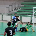 Futsal Andria - Futsal Giovinazzo: gli scatti di Pasquale Leonetti