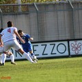 Potenza - Fidelis Andria 0-0: la fotostory del match