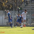 Potenza - Fidelis Andria 0-0: la fotostory del match