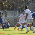 Potenza - Fidelis Andria 0-0: la fotostory del match