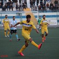 Manfredonia - Fidelis Andria, i sipontini rimontano e finisce 2 a 2