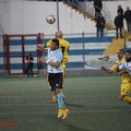 Manfredonia - Fidelis Andria, i sipontini rimontano e finisce 2 a 2
