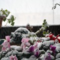 Neve Andria: Stefano_ore 9,30