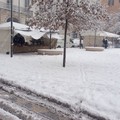 neve andria 31 dicembre 2014 mattina