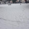neve andria 31 dicembre 2014 mattina