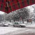 neve andria 31 dicembre 2014 mattina