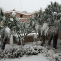 Neve Andria: Antonio_ore 15 - Palme