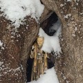 Neve Andria: Antonio_ore 15 - Padre Pio