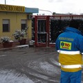 Neve Andria: Lea_11 - Via Vecchia Barletta Misericordia