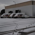 Neve Andria: Lea_11 - Via Vecchia Barletta Misericordia