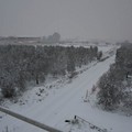 Neve Andria disagi