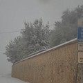 Neve Andria disagi
